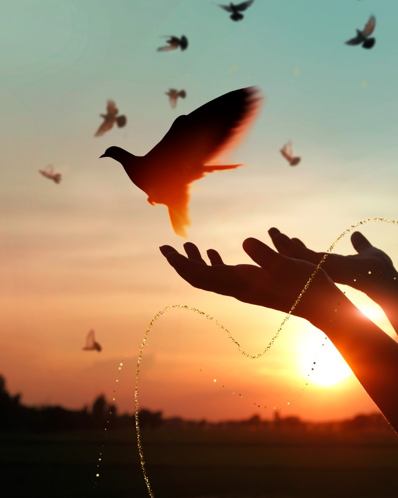 Person sitzt auf einem Sofa und hält die Hand einer anderen Person