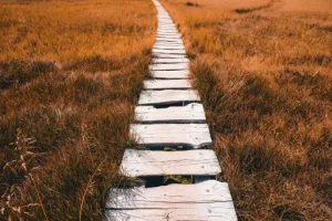 Schmaler Holzweg verläuft durch Gras-Landschaft